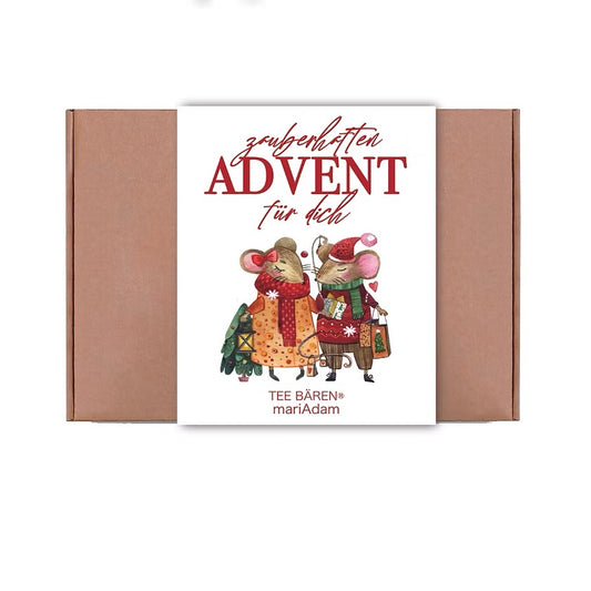 Adventsbox Teebären