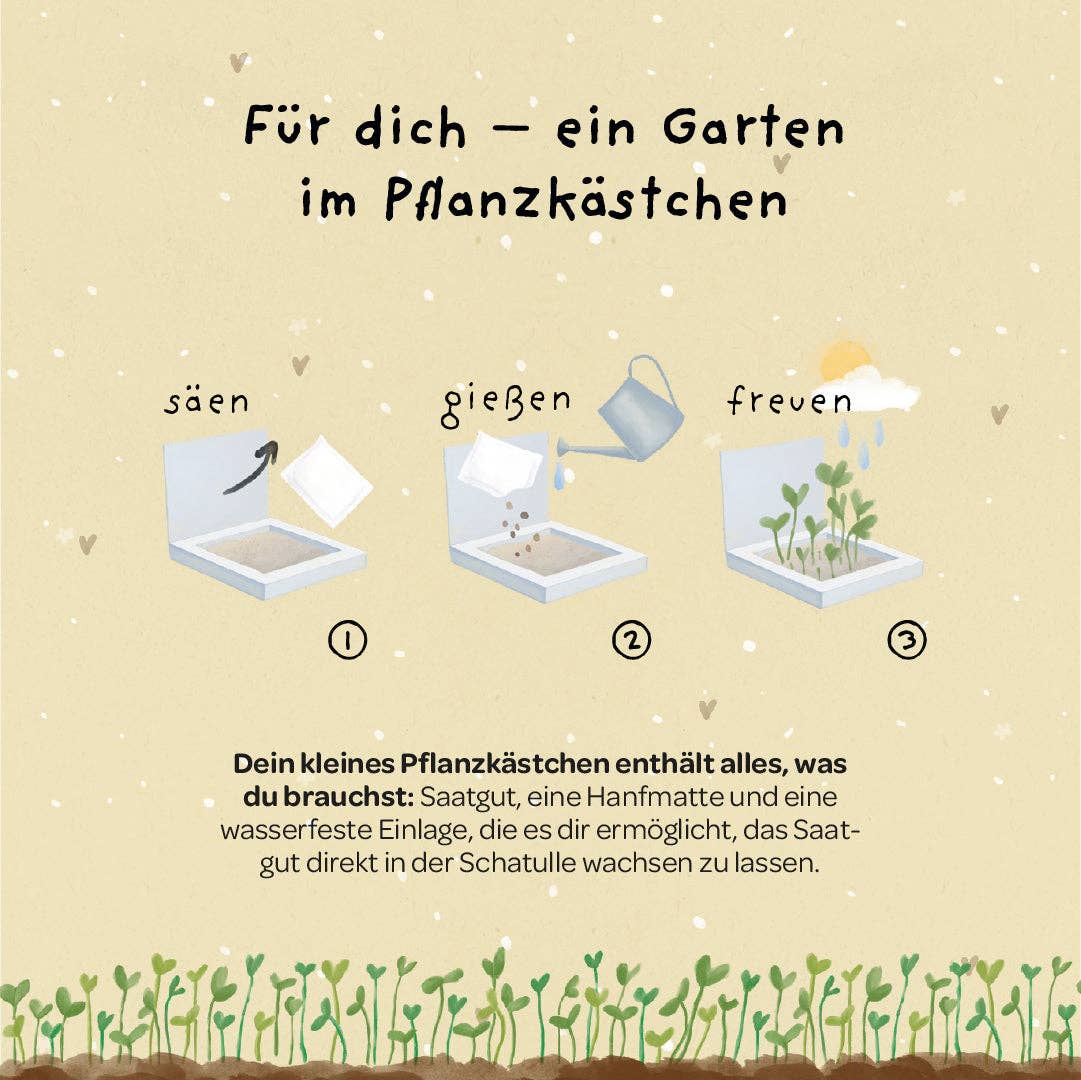 Pflanzkästchen
