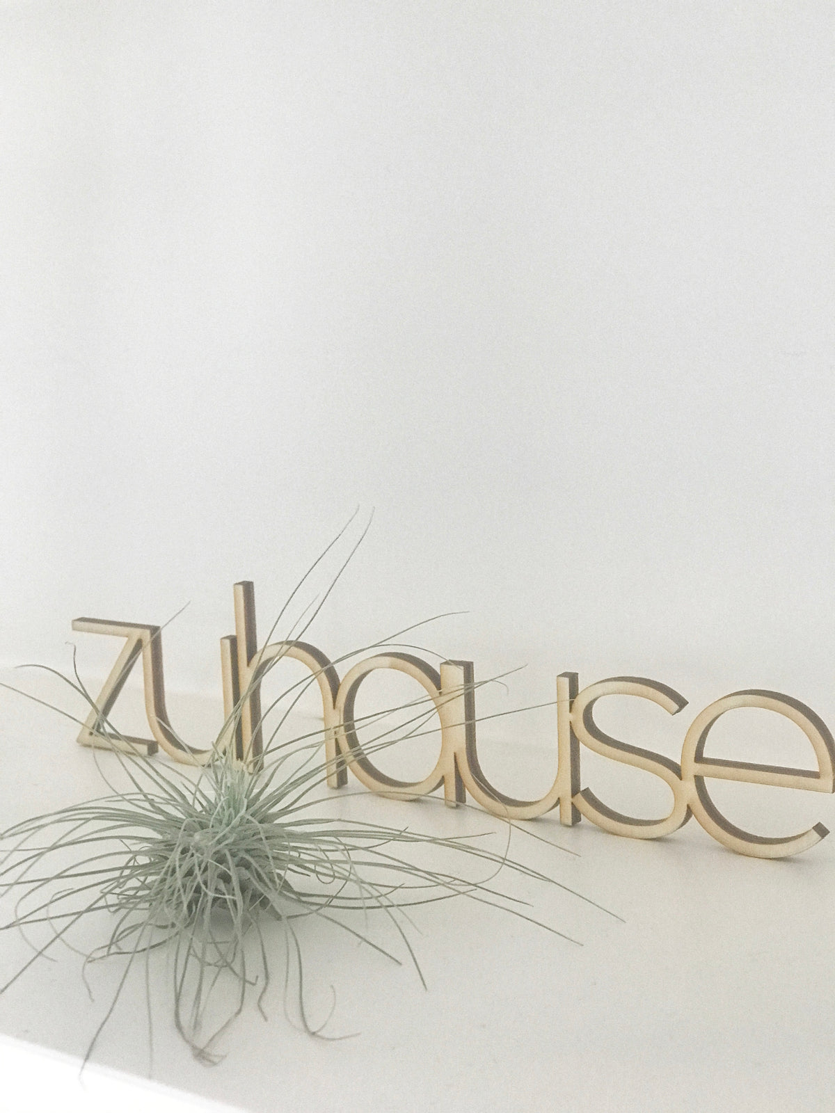 stehender Schriftzug "zuhause" aus Holz , dvor eine grüne luftpflanze