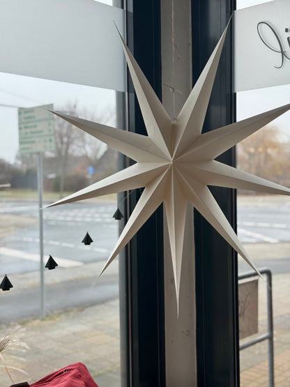 Stern XXL