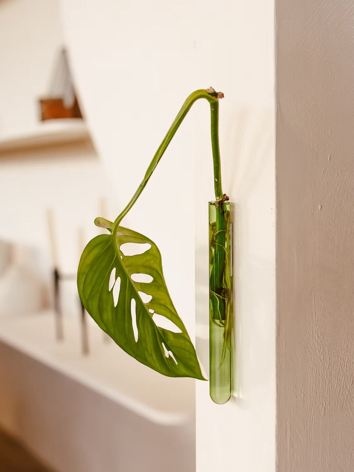 Walleaf / Vase