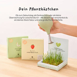Pflanzkästchen / Unentbeerlich, Herzrasen, HDGDL