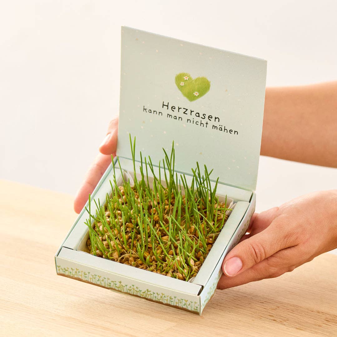 Pflanzkästchen / Unentbeerlich, Herzrasen, HDGDL