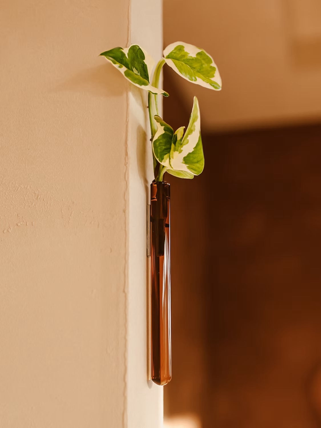 Walleaf / Vase