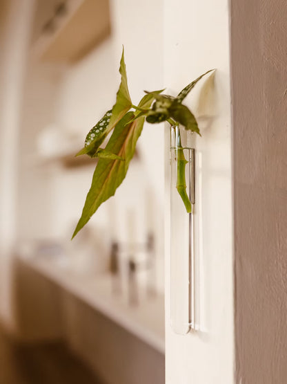 Walleaf / Vase