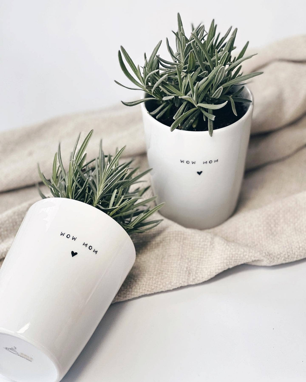 zwei mit Lavendel bepflanzte weiße Becher mit der Aufschrift "wow mom"