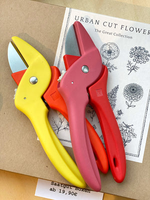 zwei bunte Blumenschere au saatgut box