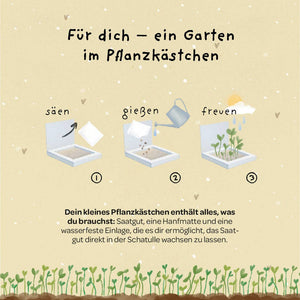 Pflanzkästchen / Unentbeerlich, Herzrasen, HDGDL