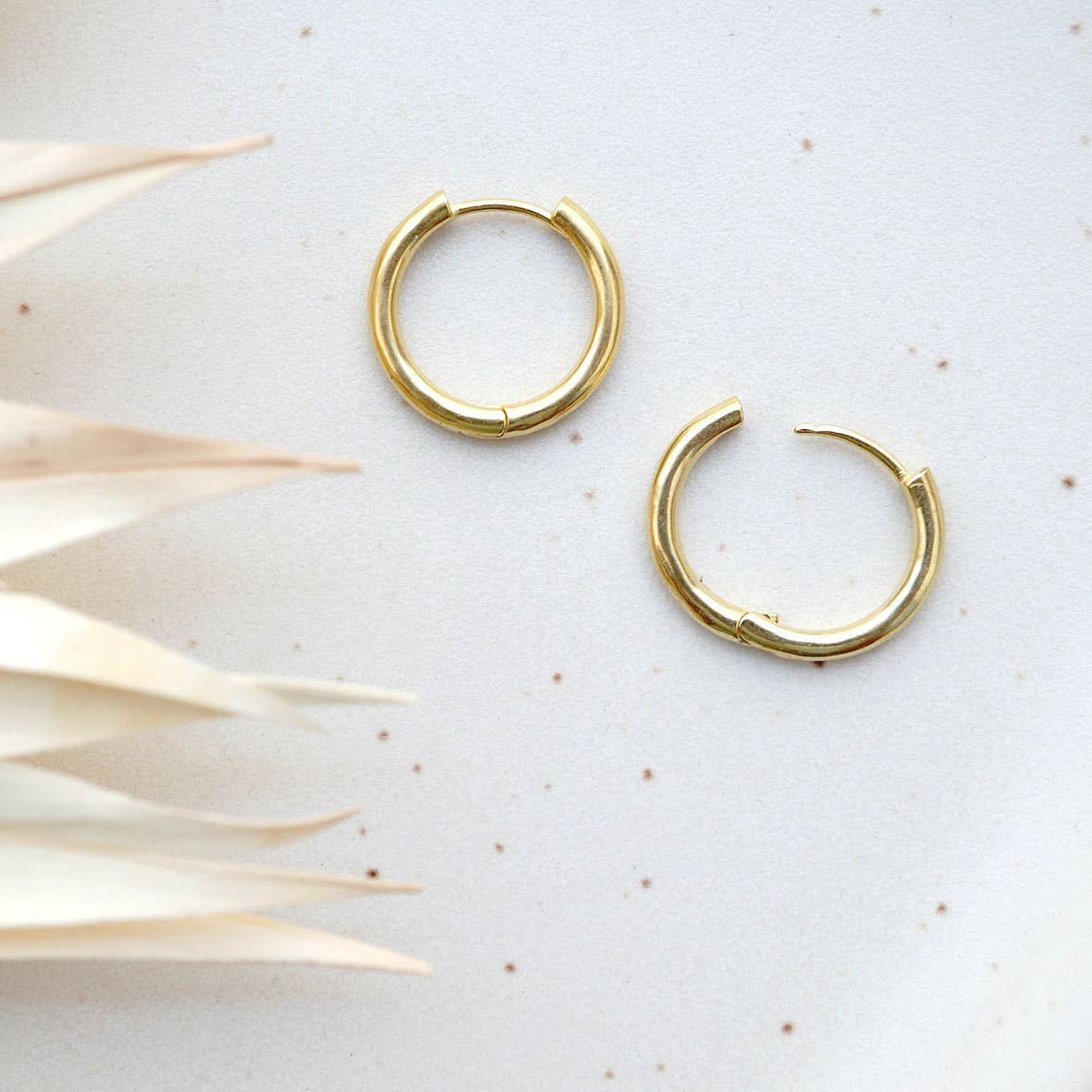 Goldfarbene Kreolen auf Pappschachtel von Fräulein Tapir