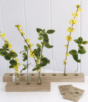Zwei unterschiedlich große Blumenwiesen / Blumendisplays von Stadtrandstil. Einmal mit sieben. einmal mit drei herausnehmbaren Gläsern und mit grünen und gelben Pflanzen dekoriert 